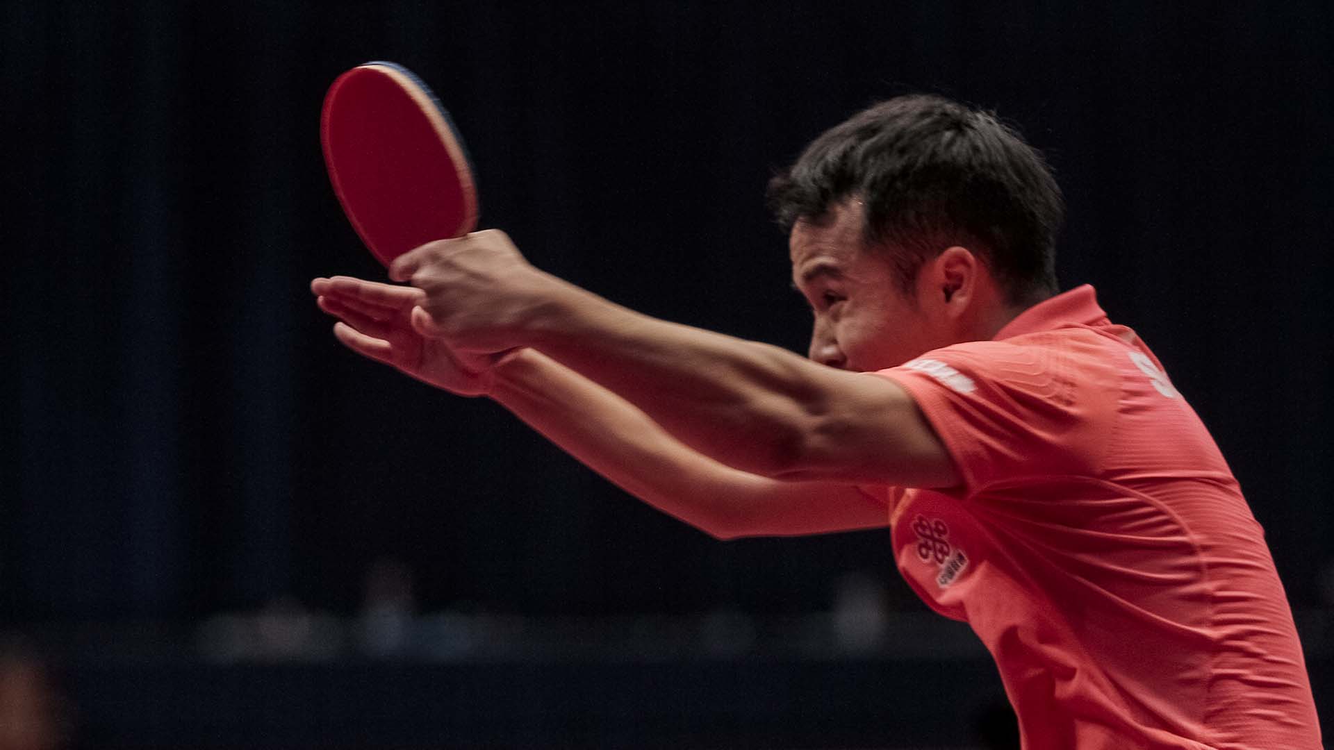 匈牙利国家队成功晋级欧锦赛四分之一决赛的简单介绍