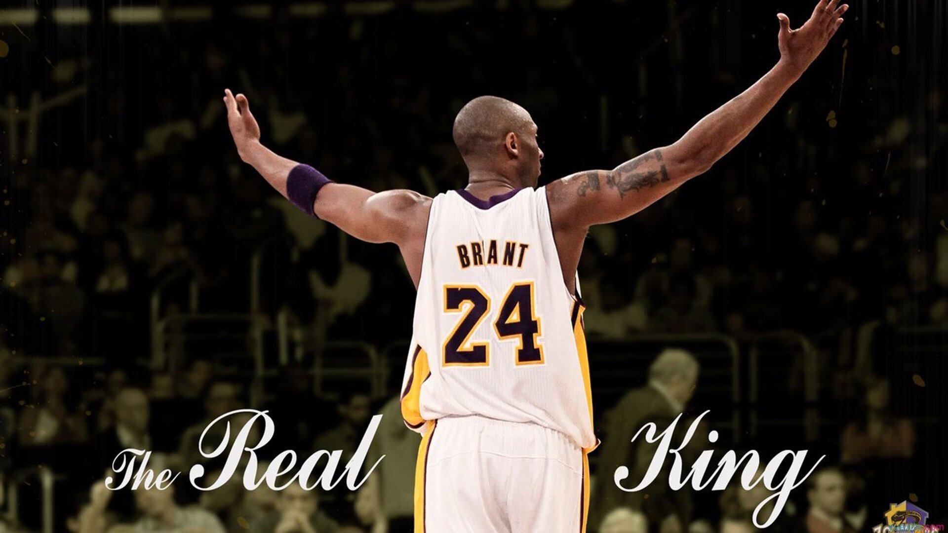 布伦森稳定输出不掉线，公牛火力压制魔术